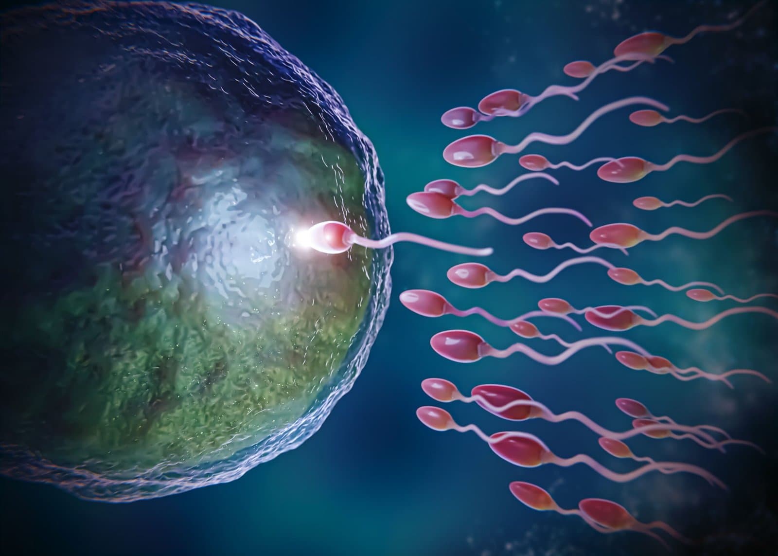 Revolutionizing IVF: How Garbha.ai is transforming embryo selection for higher success rates